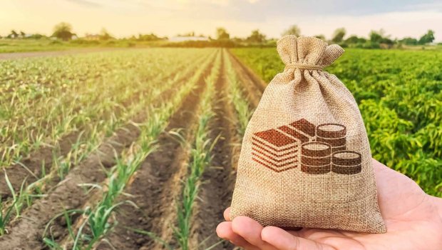 Marketlər fermerdən 50 qəpiyə aldığını 2 manata satır - SƏBƏBLƏR