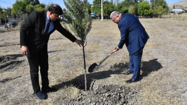 Ağsuda Anım Günündə ağacəkmə aksiyası keçirildi - FOTO