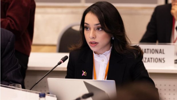 Nəzrin Əliyeva: &ldquo;İkin düşmüş şəxslərin taleyinin naməlum qalması ağır humanitar faciədir&rdquo; &ndash; VİDEO