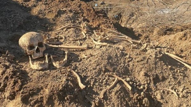 İtkin düşmüş şəxslərdən 328 nəfərin şəxsiyyəti BƏLLİ OLUB - RƏSMİ