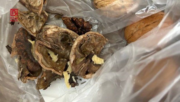 Marketdən &ldquo;təzə qoz&rdquo; adı ilə aldığı məhsul xarab çıxdı &ndash; FOTO