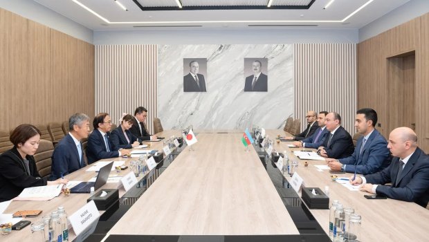 Bakı və Tokio süni intellekt və rəqəmsal inkişafı MÜZAKİRƏ ETDİ - FOTO