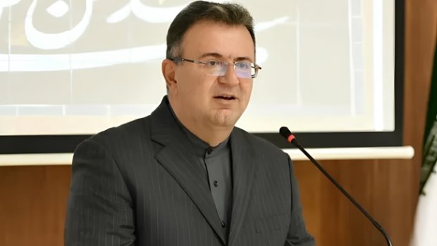 Küçə itləri İranın Gürcüstandakı səfirinə hücum etdilər &ndash; AYAĞI SINDI