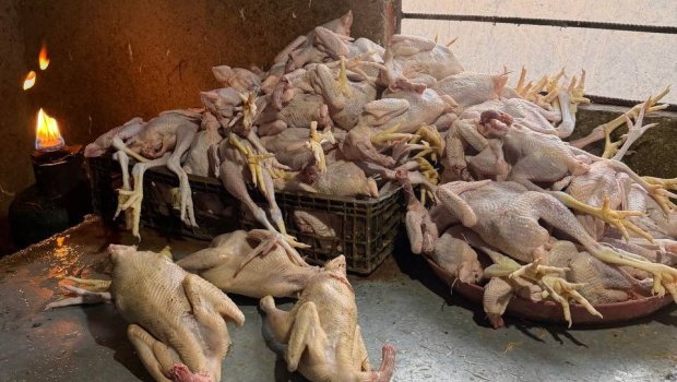 Lənkəranda toyuq kəsimi sexində nöqsanlar aşkarlandı &ndash; FOTO