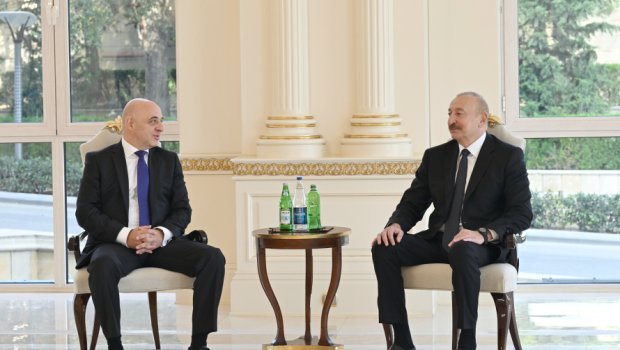 İlham Əliyev Gürcüstanın yeni səfirini qəbul etdi &ndash; FOTO
