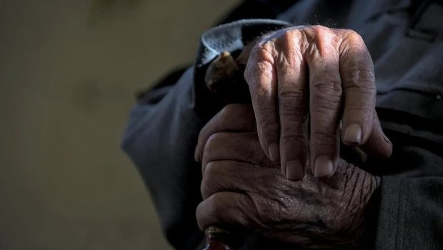 Hansı yaşda ət yemək ömrü uzadır? - Elmi araşdırma