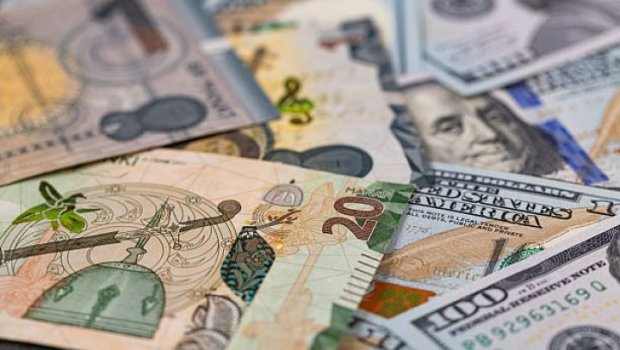 Manatın taleyi ilə bağlı 4 illik PROQNOZ AÇIQLANDI