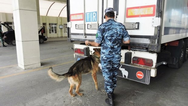 Gömrükdəki nüfuz alverinə görə cinayət işi başlanıb