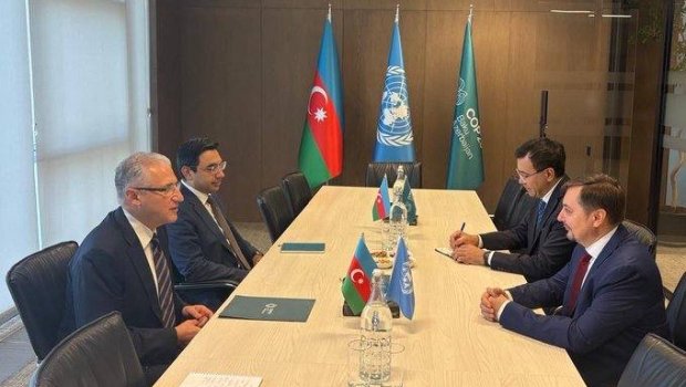 Azərbaycan və BMT arasında ekoloji problemlərin həlli müzakirə edildi - FOTO
