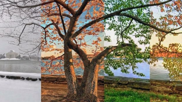 Azərbaycanda bu iki fəsil artıq gec başlayacaq? &ndash; Hava dəyişir