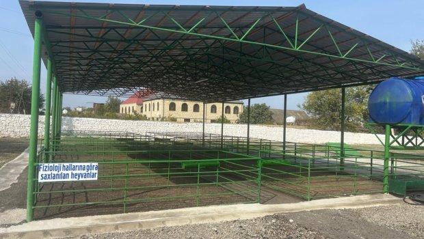 Şəmkirdə yeni heyvan satışı bazarı fəaliyyətə başladı - FOTO
