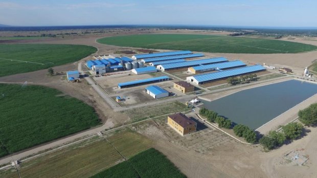 Şəmkirdə 600 min manat kapitalla yeni şirkət yaradılıb