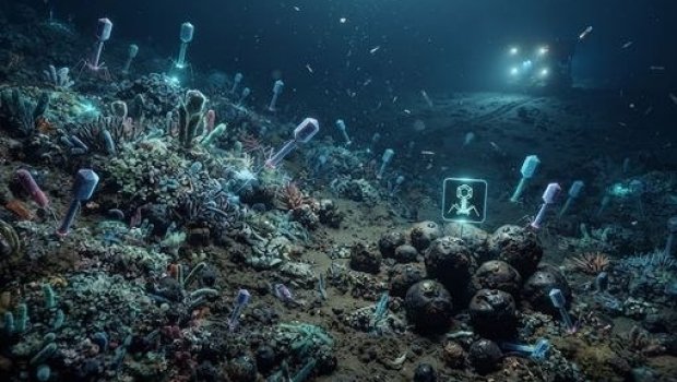 Okeanın dibində 12 minə yaxın naməlum virus aşkarlandı &ndash; KƏŞF