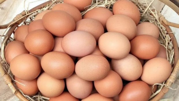 Azərbaycanda kənd yumurtası bahalaşdı