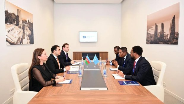 Azərbaycan Somali ilə mədəniyyət sahəsində əməkdaşlığı genişləndirir - FOTO