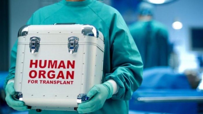 Məhkumların orqanlarını bağışlaması niyə QADAĞANDIR?