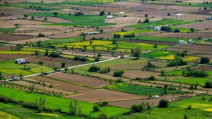 Kənd təsərrüfatı təyinatlı torpaqlarla bağlı YENİLİK – Tikinti qaydaları DƏYİŞDİ
