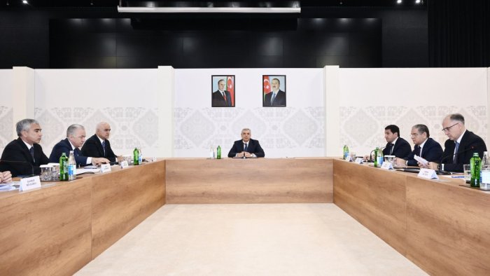 Samir Nuriyev rəsmiləri Zəngilanda bir araya topladı – FOTO