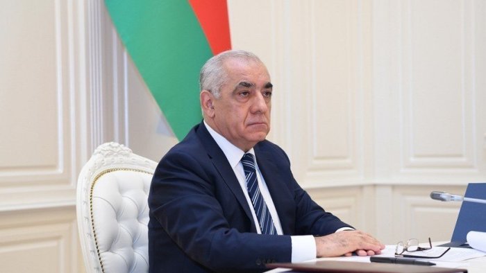 Baş nazirdən bal arıları ilə bağlı QƏRAR – FOTO