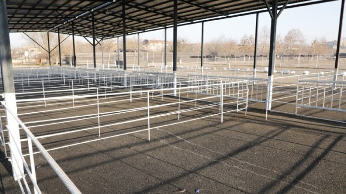 Daha bir &ldquo;mal bazarı&rdquo;nın fəaliyyəti bərpa edilir &ndash; VİDEO