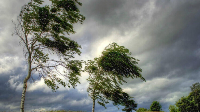 Ölkə ərazisində külək güclənəcək - XƏBƏRDARLIQ