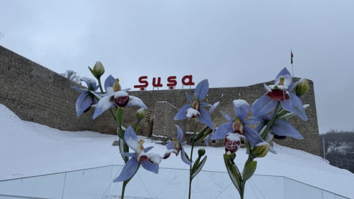 Şuşa yenidən ağ örpəyə büründü - FOTO