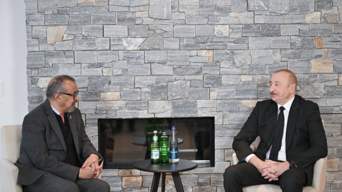 Prezident Davosda ÜST-nin Baş direktoru ilə görüşdü - FOTO