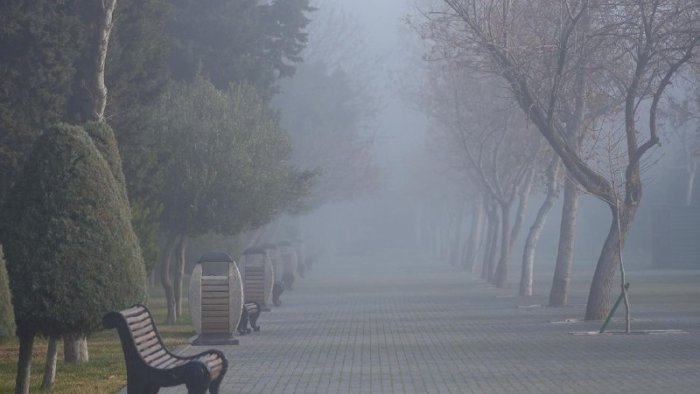 Yanvarın son gününün HAVASI: Duman, 18 dərəcə isti...