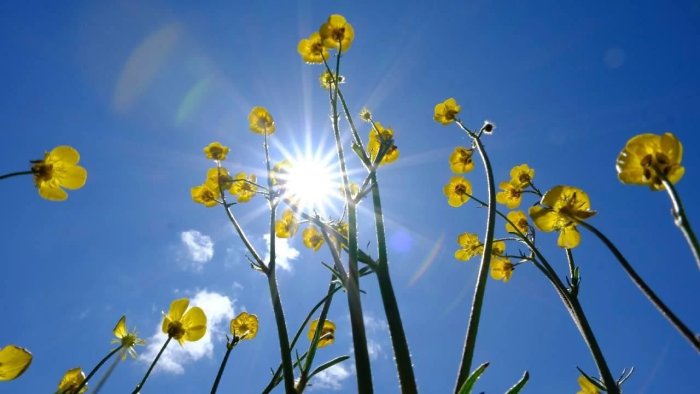Faktiki hava AÇIQLANDI: Bakıda 26 dərəcə isti...