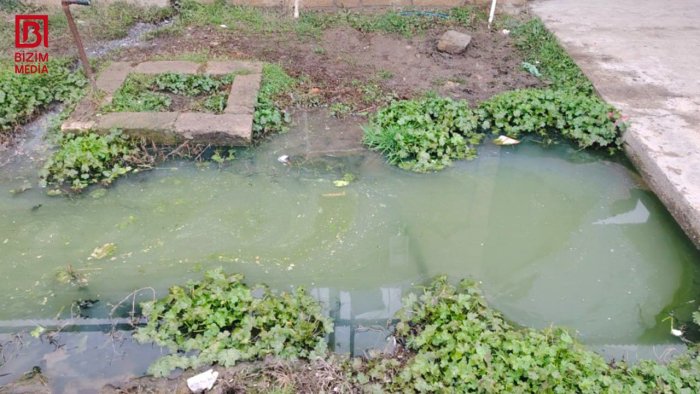 Eyni arxda ölən iki qardaşla bağlı rəsmi qurumdan AÇIQLAMA &ndash; &ldquo;Körpə orda nə gəzirdi?&rdquo; &ndash; VİDEO