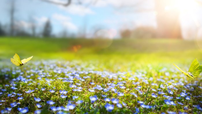 GÜNÜN HAVASI: 20 dərəcə isti, yağış, qar...