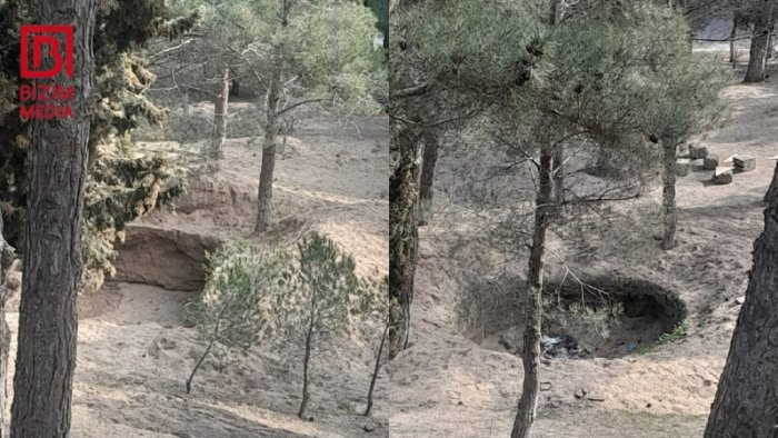 Sumqayıtın Nəsimi parkındakı ağaclar TƏHLÜKƏDƏ &ndash; VİDEO