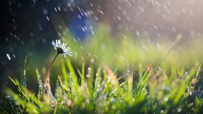 Leysan olacaq, dolu düşəcək - BU TARİXLƏRDƏ