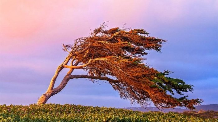 Güclü küləklə bağlı XƏBƏRDARLIQ