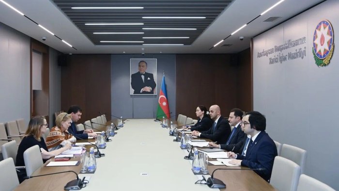 Azərbaycan və UNESCO arasında əməkdaşlığın inkişafı müzakirə edildi - FOTO