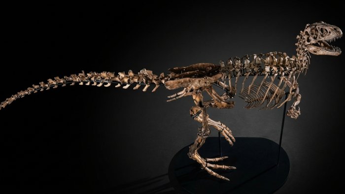 Milyonluq HƏRRAC: Dinozavr skeleti 9 milyona təklif edilir